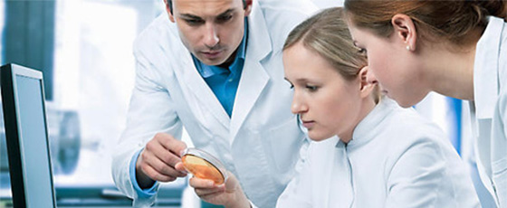 NI��(chu��ng)�¹��̽�����Q���������n������������p��(chu��ng)������