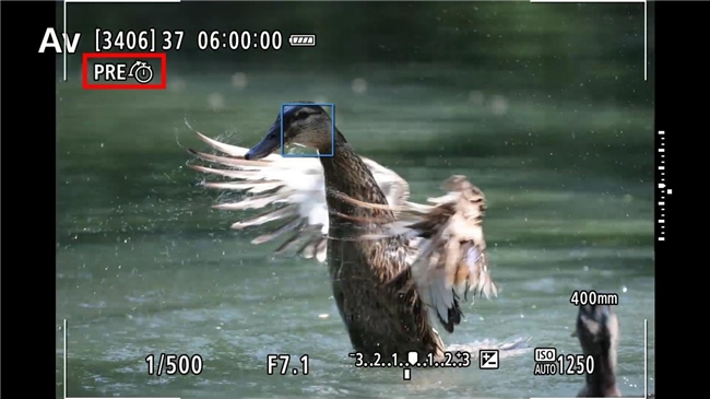 更順手 更可靠 佳能EOS R1 Ver1.1.2固件體驗(yàn)評(píng)測(cè)