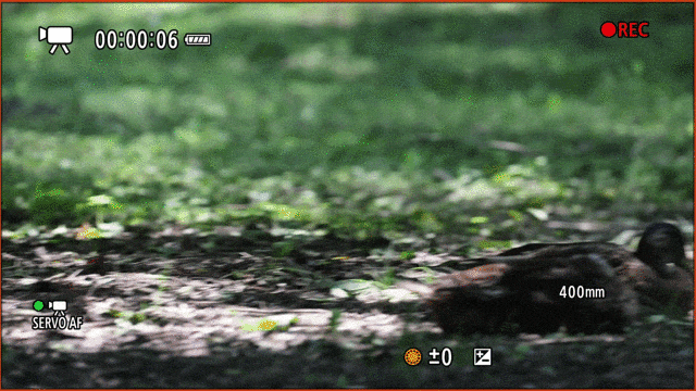 更順手 更可靠 佳能EOS R1 Ver1.1.2固件體驗(yàn)評(píng)測(cè)