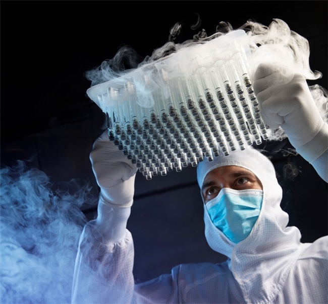 以玻璃為媒，與改革同頻：肖特玻璃從產(chǎn)業(yè)鏈“隱形”處引爆創(chuàng)新