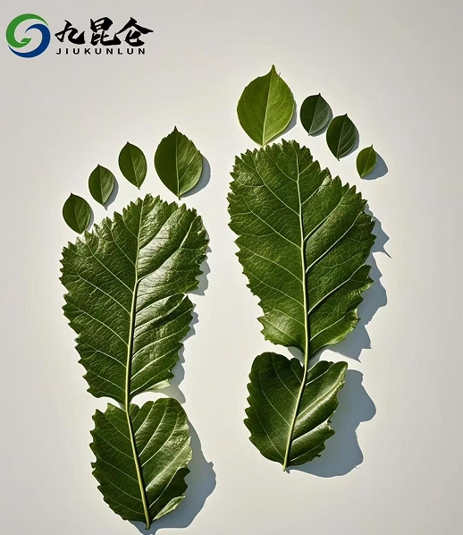 九昆侖低碳科技：以科技構(gòu)建全球碳中和新生態(tài)