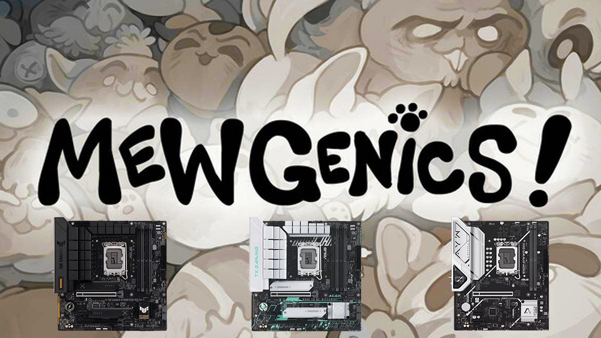 登頂新游銷量榜 華碩B760 D4主板暢玩《喵喵的結(jié)合》