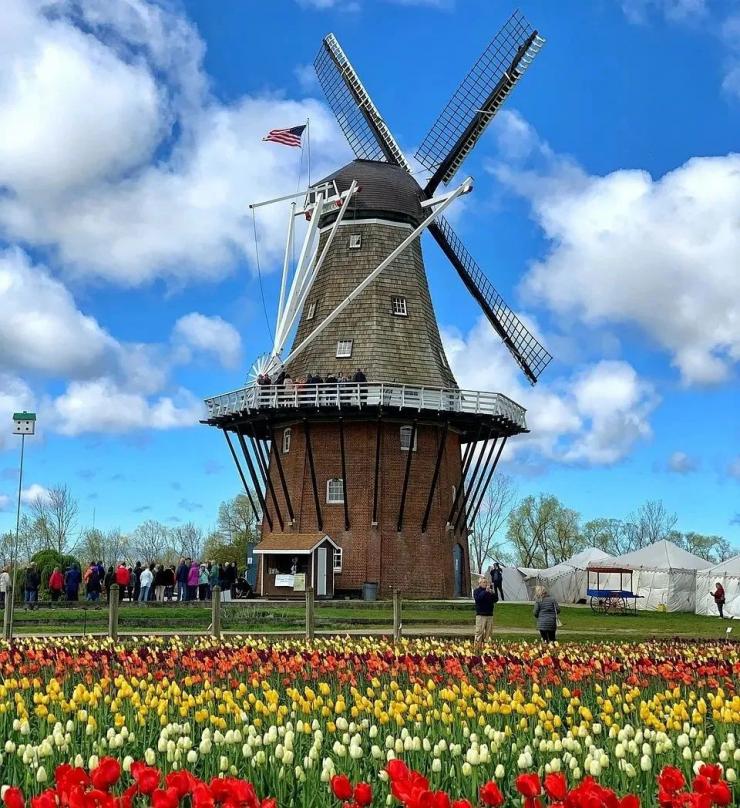 禁止向中國出口光刻機！華盛頓談判施壓荷蘭，首相表態(tài)