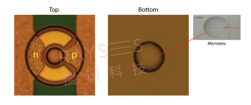 拉開元宇宙序幕，瑞識科技推出背發(fā)光微透鏡集成VCSEL芯片