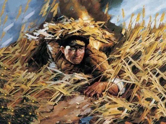 因涉嫌侮辱邱少云，日本科技巨頭被禁言！