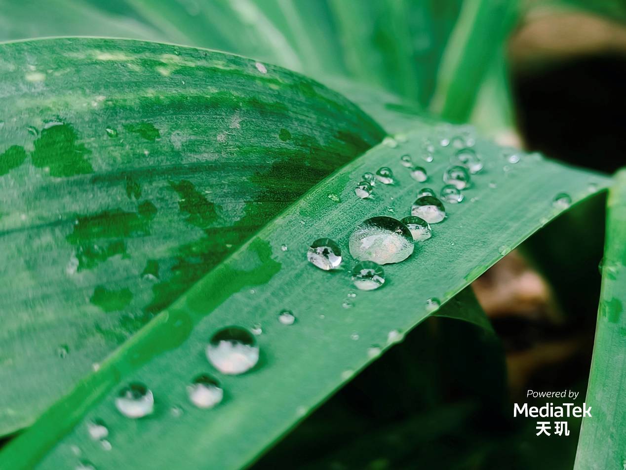 天璣9200支持電影模式，自動追焦配合背景虛化，零基礎(chǔ)也能拍大片