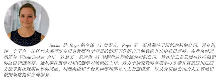 是AI還是人類  如何判斷文章是否為ChatGPT所寫？