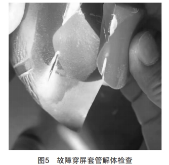 充氣柜母線接地故障案例分析與處理