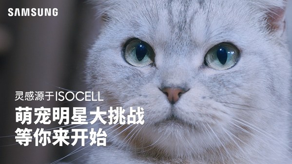 萌寵照片大集合，三星超高像素拍照征集活動(dòng)開(kāi)始