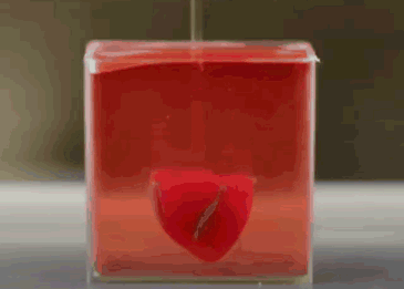 3D打印登上日本熱搜！萬物皆可制造的3D打印能成為解決供應(yīng)鏈危機(jī)和能源轉(zhuǎn)型的突破口嗎？