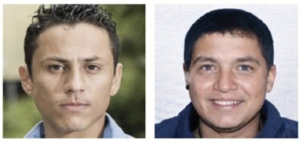 你能分辨真假嗎？左邊的照片是真實(shí)的。來(lái)源：Michoel L. Moshel等人。