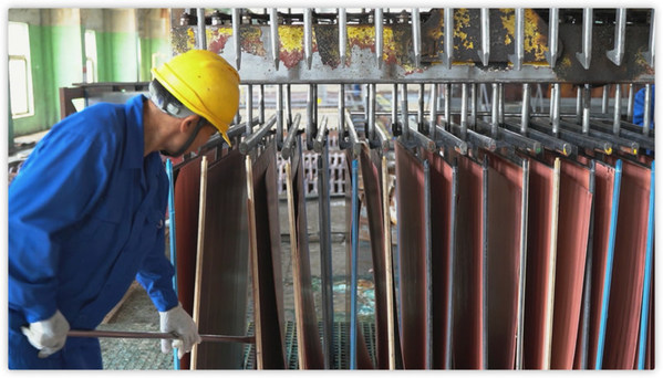 人工剝片現(xiàn)場(chǎng) 人工剝片現(xiàn)場(chǎng)