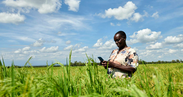 雅苒不斷加大農(nóng)業(yè)領域投資 雅苒不斷加大農(nóng)業(yè)領域投資