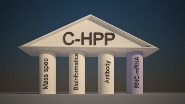 翻譯組(RNC-mRNA)被作為國際人類蛋白質(zhì)組計(jì)劃的核心支柱之一。Reprinted with permission from J. Proteome Res. 2014, 13, 1, 50–59. Copyright 2014 American Chemical Society.