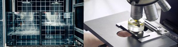 驪住全球開發(fā)實驗室再獲代表歐洲最嚴(yán)格標(biāo)準(zhǔn)的德國DAkkS權(quán)威認(rèn)證