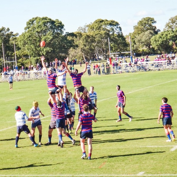 北京致知學(xué)校高中部新生百萬(wàn)獎(jiǎng)學(xué)金：擁抱致知，走向世界