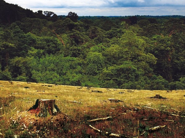 SGS通標標準技術服務有限公司大連分公司能力覆蓋第三次全國土壤普查指定的全部檢測項目，并具備CMA、CATL等多項資質(zhì)認可