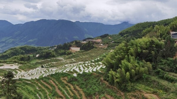 中國移動 愛立信攜手合作伙伴推動基于5G的全閉環(huán)自然災害綜合管控系統(tǒng)落地