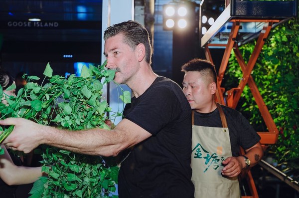 鵝島中國首席釀酒師Daniel Feist采摘由GOOSE ISLAND鵝島現代智能室內酒花農場通過無土栽培方式種植出的卡斯卡特啤酒花