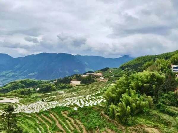 愛立信獲評(píng)2022彭博綠金ESG年度責(zé)任先鋒