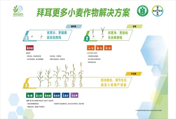 拜耳更多小麥作物解決方案示意