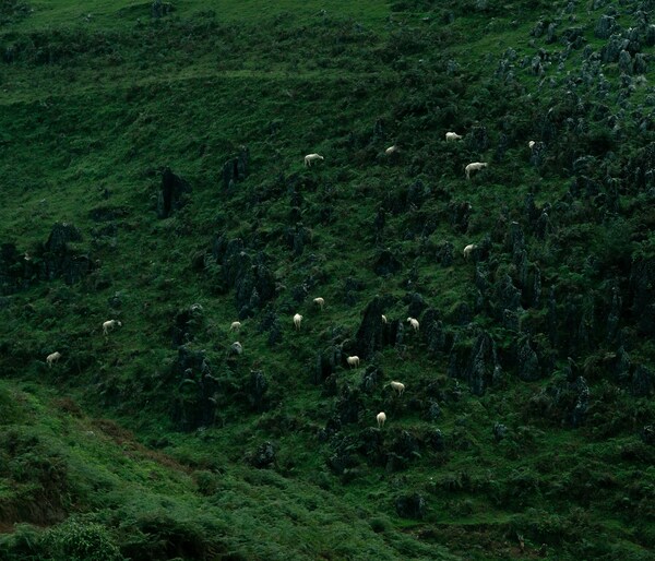 《從觀看出發(fā)》富士膠片首期“百人影創(chuàng)官”作品展參展作品 《超現(xiàn)實(shí)環(huán)境》@史博 《從觀看出發(fā)》富士膠片首期“百人影創(chuàng)官”作品展參展作品 《超現(xiàn)實(shí)環(huán)境》@史博