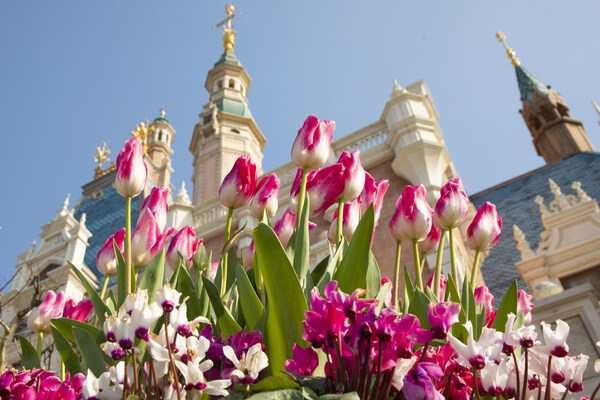 上海迪士尼度假區(qū)開啟繽紛春日慶典，邀游客盡興玩出趣