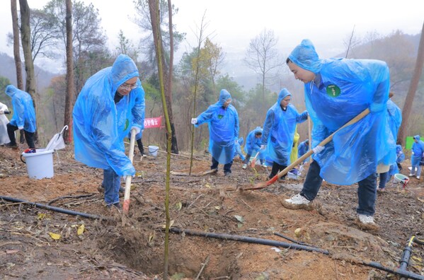眾合云科赴重慶縉云山山火跡地植樹復綠