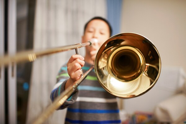 樂器產(chǎn)品需符合有害物質(zhì)要求 樂器產(chǎn)品需符合有害物質(zhì)要求