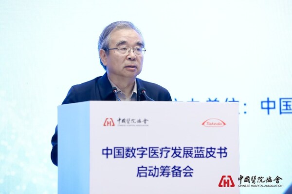 中國醫(yī)院協會副會長毛群安