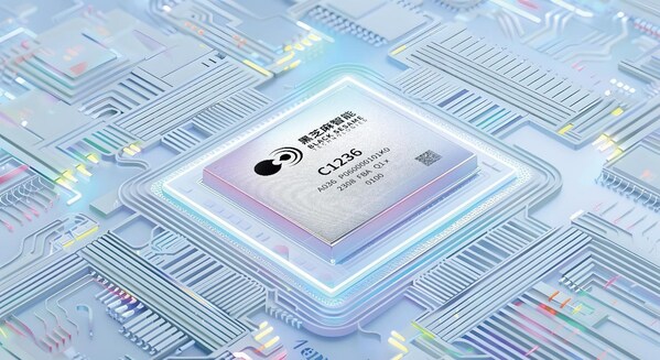 黑芝麻智能武當(dāng)C1236芯片 黑芝麻智能武當(dāng)C1236芯片