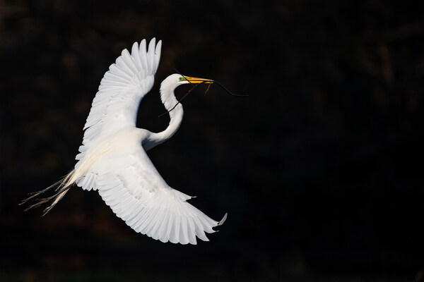 2025 年全球銀行業(yè)和金融市場展望