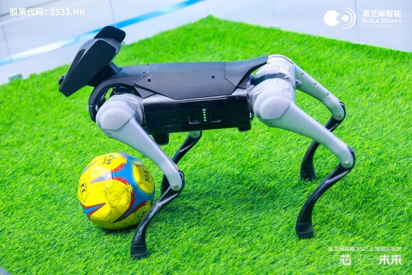 黑芝麻智能&深庭紀(jì)具身智能應(yīng)用——智能機(jī)器狗