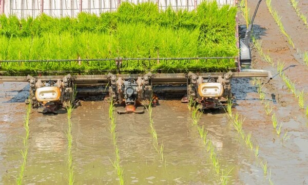 農(nóng)機(jī)水田作業(yè)的