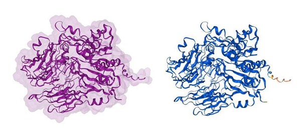 結(jié)構(gòu)配色方案：按子單位（左圖）；結(jié)構(gòu)配色方案：模型置信度（右圖）