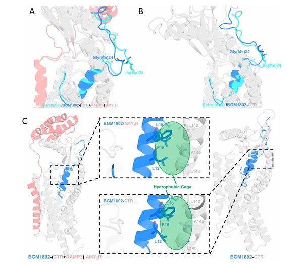 分子動(dòng)力學(xué)模擬中的穩(wěn)定構(gòu)象