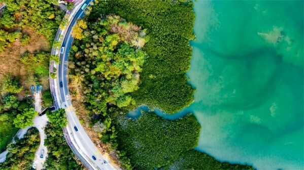 SGS環(huán)境技術(shù)專家入選廈門生態(tài)環(huán)境標(biāo)準(zhǔn)化技術(shù)委員會專家委員