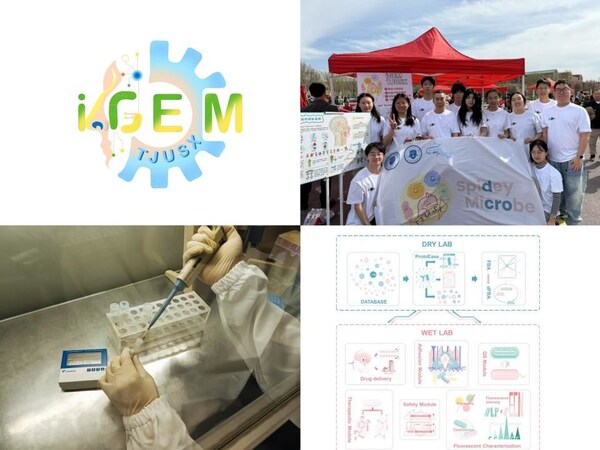 擎科生物助力iGEM團(tuán)隊(duì)-TJUSX 打造安全、可控、可復(fù)用的活體藥物平臺(tái)