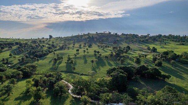 DEKRA德凱以行動(dòng)踐行氣候責(zé)任承諾