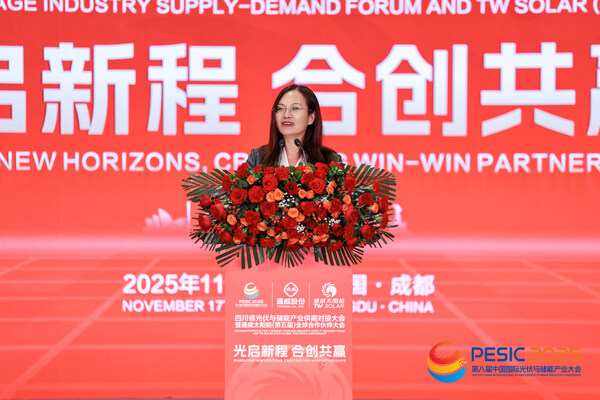 T&Uuml;V萊茵大中華區(qū)培訓(xùn)與咨詢服務(wù)副總裁林小霞