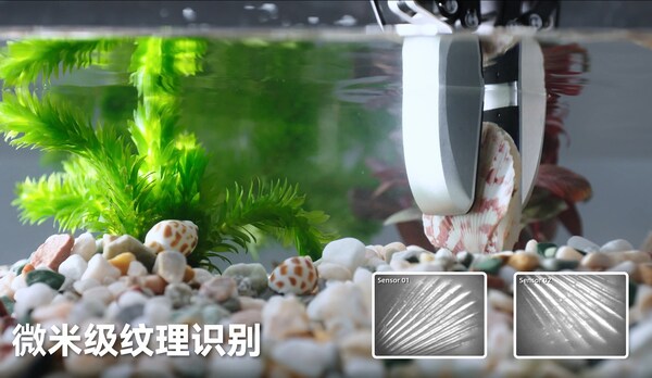 微米級(jí)紋理識(shí)別