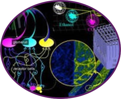 �c���M��