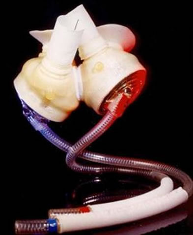 �c���M��