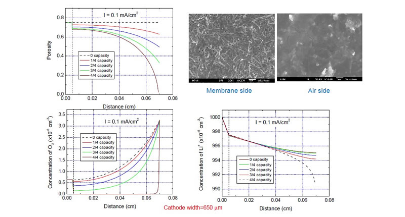 ����^�̵�ģ�M